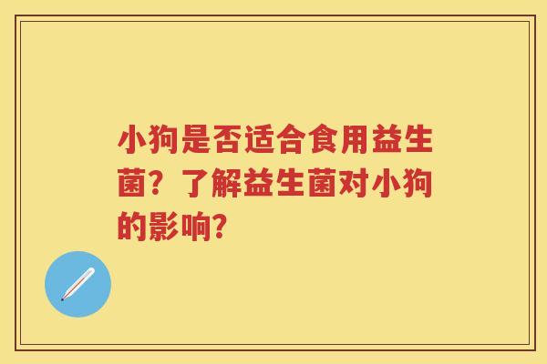 小狗是否适合食用益生菌？了解益生菌对小狗的影响？