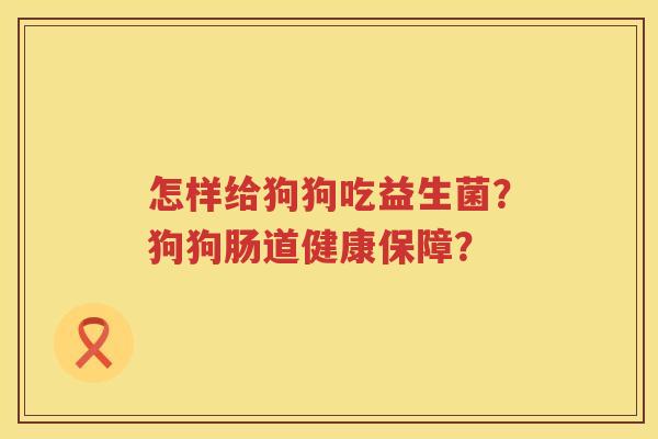 怎样给狗狗吃益生菌?狗狗肠道健康保障? 怎样给狗狗吃益生菌?狗狗肠道健康保障?