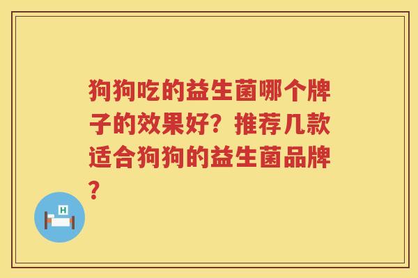 狗狗吃的益生菌哪个牌子的效果好？推荐几款适合狗狗的益生菌品牌？