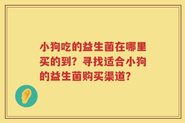 小狗吃的益生菌在哪里买的到？寻找适合小狗的益生菌购买渠道？