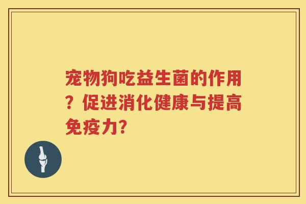 宠物狗吃益生菌的作用？促进消化健康与提高力？