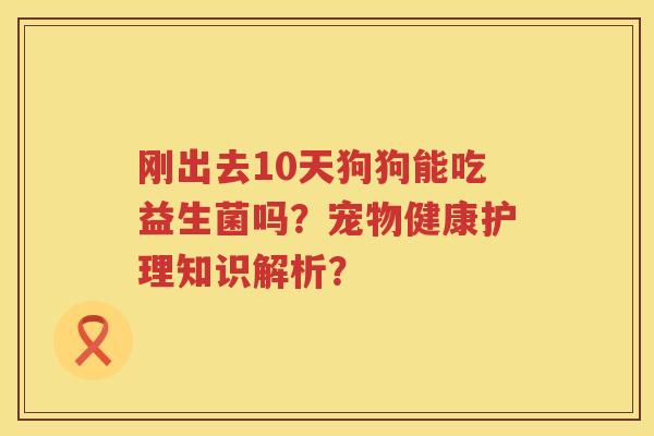 刚出去10天狗狗能吃益生菌吗？宠物健康护理知识解析？
