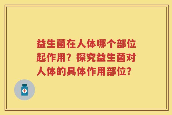 益生菌在人体哪个部位起作用?探究益生菌对人体的具体作用部位? 益生菌在人体哪个部位起作用?探究益生菌对人体的具体作用部位?