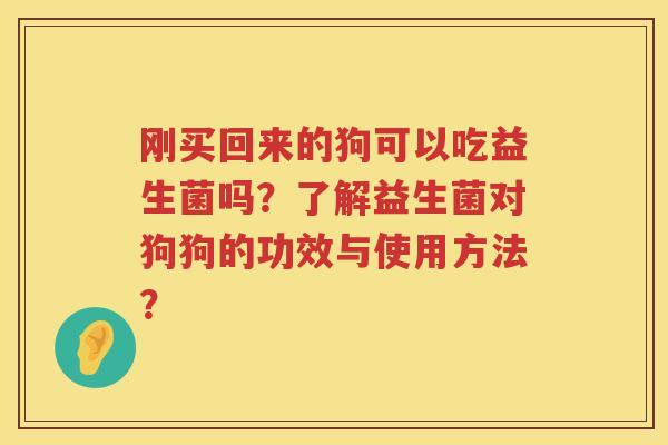 刚买回来的狗可以吃益生菌吗？了解益生菌对狗狗的功效与使用方法？