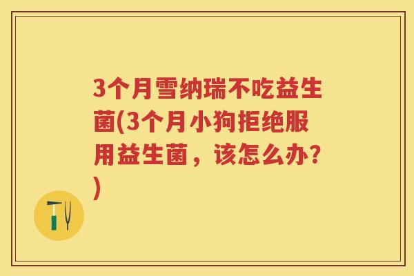 3个月雪纳瑞不吃益生菌(3个月小狗拒绝服用益生菌,该怎么办?) 3个月雪纳瑞不吃益生菌(3个月小狗拒绝服用益生菌,该怎么办?)