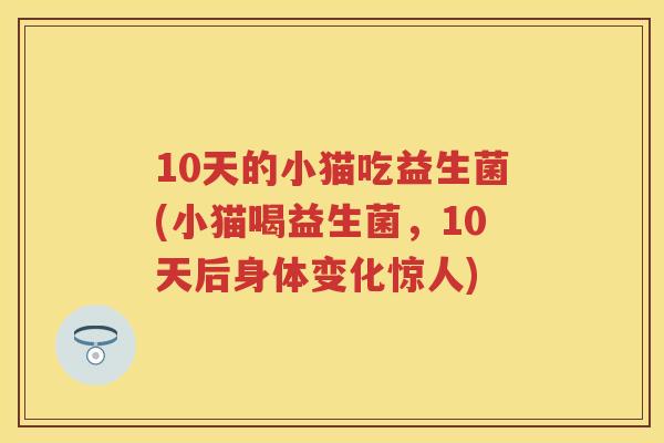 10天的小猫吃益生菌(小猫喝益生菌,10天后身体变化惊人) 10天的小猫吃益生菌(小猫喝益生菌,10天后身体变化惊人)
