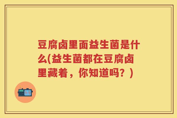 豆腐卤里面益生菌是什么(益生菌都在豆腐卤里藏着,你知道吗?) 豆腐卤里面益生菌是什么(益生菌都在豆腐卤里藏着,你知道吗?)