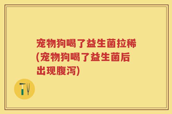 宠物狗喝了益生菌拉稀(宠物狗喝了益生菌后出现) 宠物狗喝了益生菌拉稀(宠物狗喝了益生菌后出现)