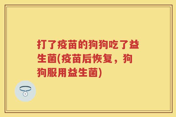 打了疫苗的狗狗吃了益生菌(疫苗后恢复,狗狗服用益生菌) 打了疫苗的狗狗吃了益生菌(疫苗后恢复,狗狗服用益生菌)