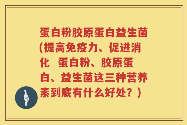蛋白粉胶原蛋白益生菌(提高力、促进消化  蛋白粉、胶原蛋白、益生菌这三种营养素到底有什么好处？)