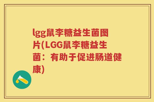 lgg鼠李糖益生菌图片(LGG鼠李糖益生菌:有助于促进肠道健康) lgg鼠李糖益生菌图片(LGG鼠李糖益生菌:有助于促进肠道健康)