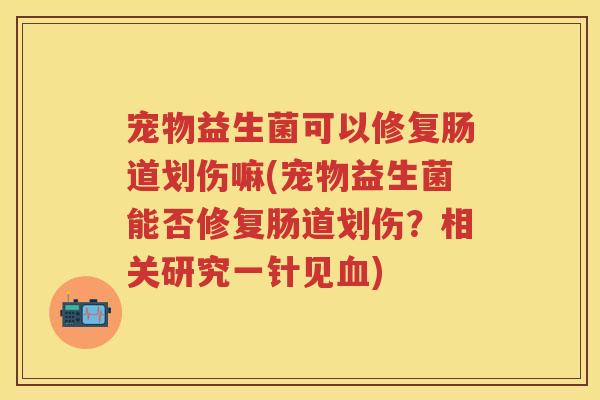 宠物益生菌可以修复肠道划伤嘛(宠物益生菌能否修复肠道划伤?相关研究一针见) 宠物益生菌可以修复肠道划伤嘛(宠物益生菌能否修复肠道划伤?相关研究一针见)