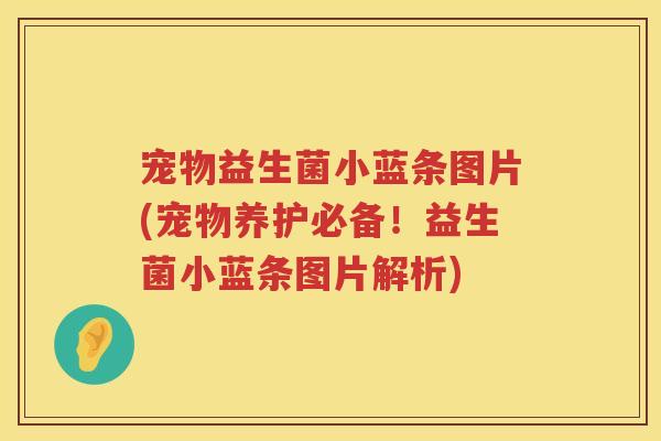 宠物益生菌小蓝条图片(宠物养护必备！益生菌小蓝条图片解析)