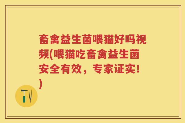 畜禽益生菌喂猫好吗视频(喂猫吃畜禽益生菌安全有效,专家证实!) 畜禽益生菌喂猫好吗视频(喂猫吃畜禽益生菌安全有效,专家证实!)