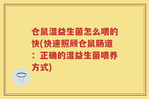 仓鼠湿益生菌怎么喂的快(快速照顾仓鼠肠道:正确的湿益生菌喂养方式) 仓鼠湿益生菌怎么喂的快(快速照顾仓鼠肠道:正确的湿益生菌喂养方式)