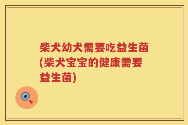 柴犬幼犬需要吃益生菌(柴犬宝宝的健康需要益生菌)
