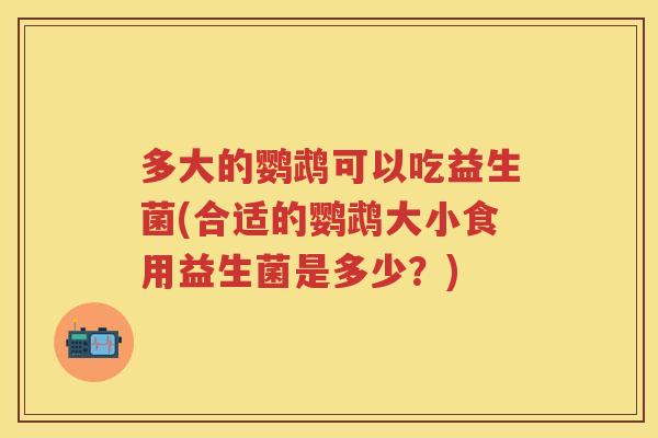 多大的鹦鹉可以吃益生菌(合适的鹦鹉大小食用益生菌是多少？)