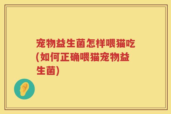宠物益生菌怎样喂猫吃(如何正确喂猫宠物益生菌)