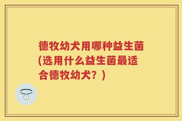 德牧幼犬用哪种益生菌(选用什么益生菌适合德牧幼犬?) 德牧幼犬用哪种益生菌(选用什么益生菌适合德牧幼犬?)
