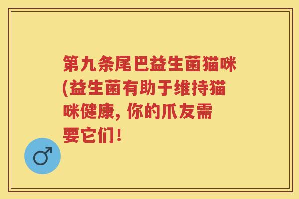 第九条尾巴益生菌猫咪(益生菌有助于维持猫咪健康, 你的爪友需要它们！