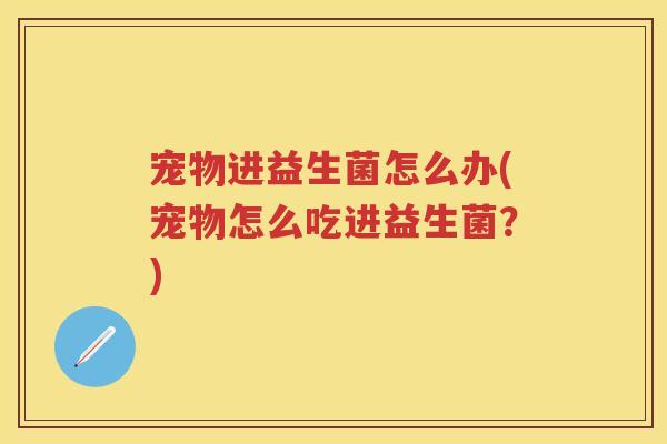 宠物进益生菌怎么办(宠物怎么吃进益生菌？)