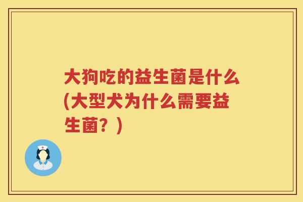 大狗吃的益生菌是什么(大型犬为什么需要益生菌？)
