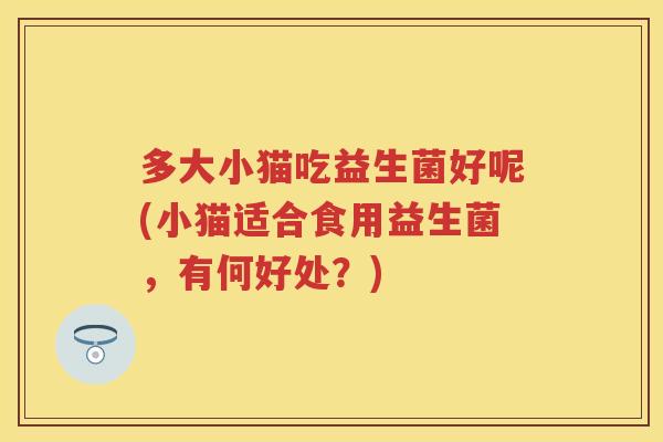 多大小猫吃益生菌好呢(小猫适合食用益生菌,有何好处?) 多大小猫吃益生菌好呢(小猫适合食用益生菌,有何好处?)