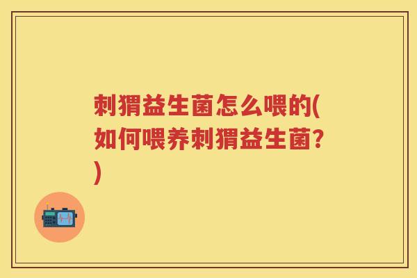 刺猬益生菌怎么喂的(如何喂养刺猬益生菌？)