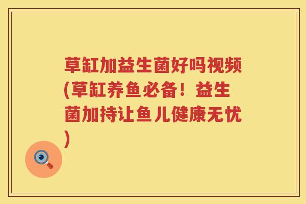 草缸加益生菌好吗视频(草缸养鱼必备!益生菌加持让鱼儿健康无忧) 草缸加益生菌好吗视频(草缸养鱼必备!益生菌加持让鱼儿健康无忧)