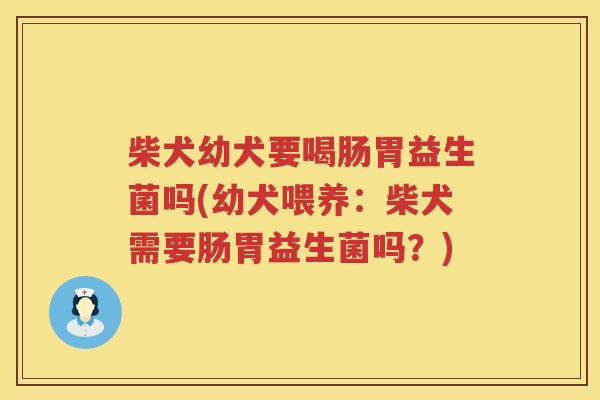 柴犬幼犬要喝肠胃益生菌吗(幼犬喂养:柴犬需要肠胃益生菌吗?) 柴犬幼犬要喝肠胃益生菌吗(幼犬喂养:柴犬需要肠胃益生菌吗?)