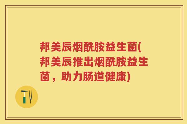 邦美辰烟酰胺益生菌(邦美辰推出烟酰胺益生菌,助力肠道健康) 邦美辰烟酰胺益生菌(邦美辰推出烟酰胺益生菌,助力肠道健康)