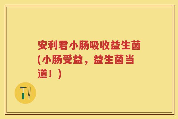 安利君小肠吸收益生菌(小肠受益,益生菌当道!) 安利君小肠吸收益生菌(小肠受益,益生菌当道!)