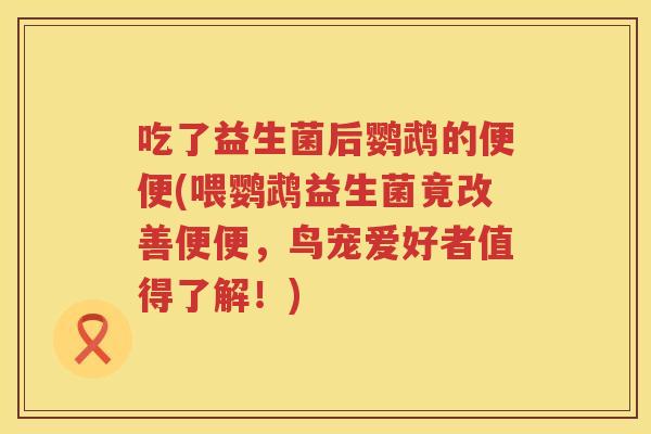 吃了益生菌后鹦鹉的便便(喂鹦鹉益生菌竟改善便便，鸟宠爱好者值得了解！)