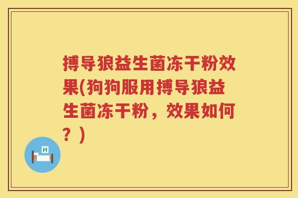 搏导狼益生菌冻干粉效果(狗狗服用搏导狼益生菌冻干粉,效果如何?) 搏导狼益生菌冻干粉效果(狗狗服用搏导狼益生菌冻干粉,效果如何?)