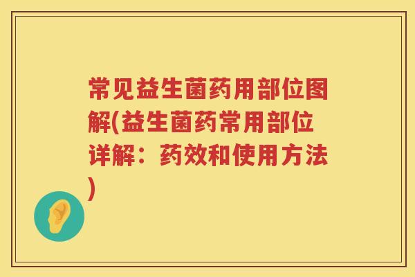 常见益生菌药用部位图解(益生菌药常用部位详解:和使用方法) 常见益生菌药用部位图解(益生菌药常用部位详解:和使用方法)