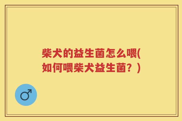 柴犬的益生菌怎么喂(如何喂柴犬益生菌?) 柴犬的益生菌怎么喂(如何喂柴犬益生菌?)
