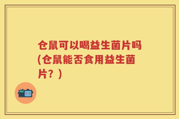 仓鼠可以喝益生菌片吗(仓鼠能否食用益生菌片？)