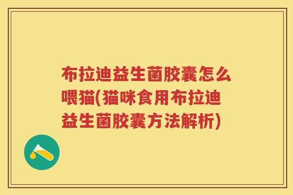 布拉迪益生菌胶囊怎么喂猫(猫咪食用布拉迪益生菌胶囊方法解析) 布拉迪益生菌胶囊怎么喂猫(猫咪食用布拉迪益生菌胶囊方法解析)