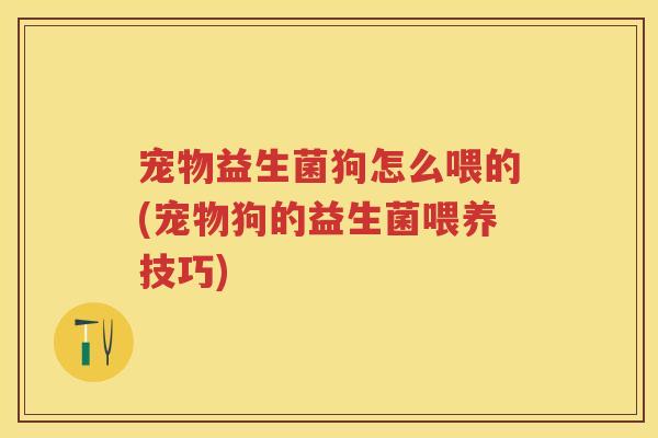 宠物益生菌狗怎么喂的(宠物狗的益生菌喂养技巧) 宠物益生菌狗怎么喂的(宠物狗的益生菌喂养技巧)