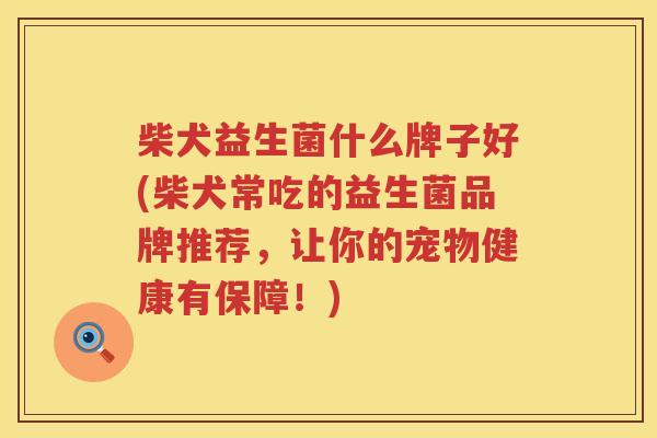 柴犬益生菌什么牌子好(柴犬常吃的益生菌品牌推荐,让你的宠物健康有保障!) 柴犬益生菌什么牌子好(柴犬常吃的益生菌品牌推荐,让你的宠物健康有保障!)