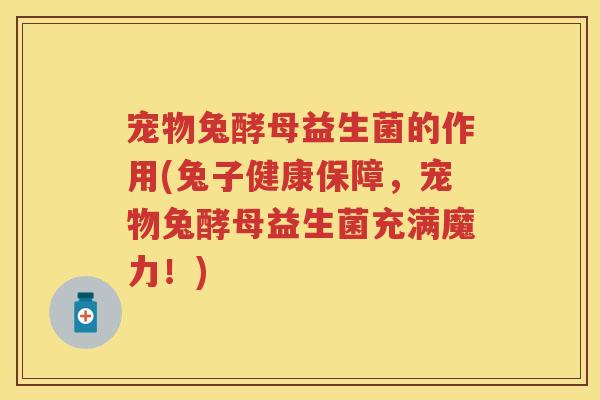 宠物兔酵母益生菌的作用(兔子健康保障,宠物兔酵母益生菌充满魔力!) 宠物兔酵母益生菌的作用(兔子健康保障,宠物兔酵母益生菌充满魔力!)