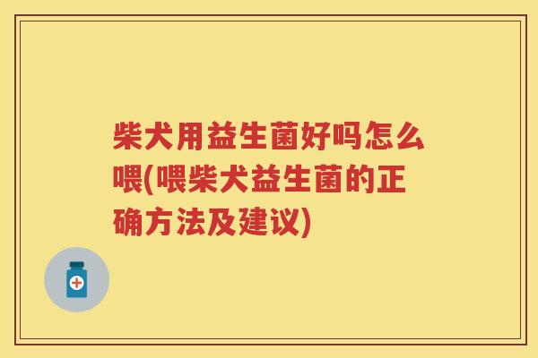 柴犬用益生菌好吗怎么喂(喂柴犬益生菌的正确方法及建议) 柴犬用益生菌好吗怎么喂(喂柴犬益生菌的正确方法及建议)