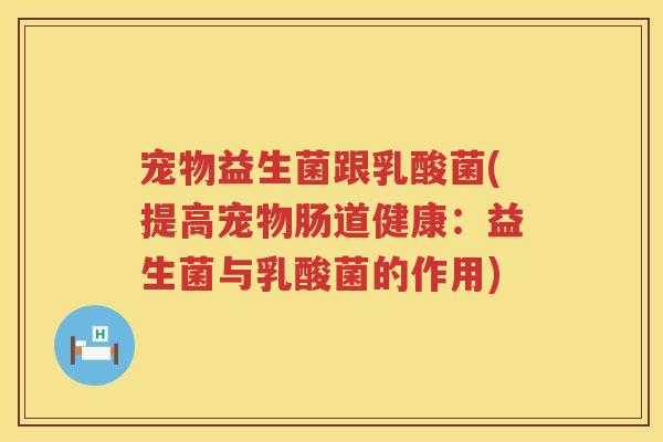 宠物益生菌跟乳酸菌(提高宠物肠道健康：益生菌与乳酸菌的作用)