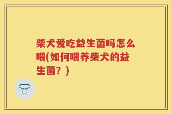柴犬爱吃益生菌吗怎么喂(如何喂养柴犬的益生菌?) 柴犬爱吃益生菌吗怎么喂(如何喂养柴犬的益生菌?)