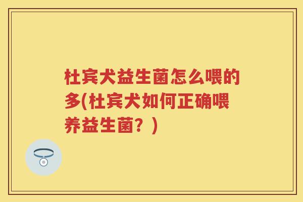 杜宾犬益生菌怎么喂的多(杜宾犬如何正确喂养益生菌?) 杜宾犬益生菌怎么喂的多(杜宾犬如何正确喂养益生菌?)