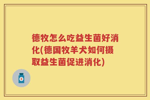 德牧怎么吃益生菌好消化(德国牧羊犬如何摄取益生菌促进消化) 德牧怎么吃益生菌好消化(德国牧羊犬如何摄取益生菌促进消化)