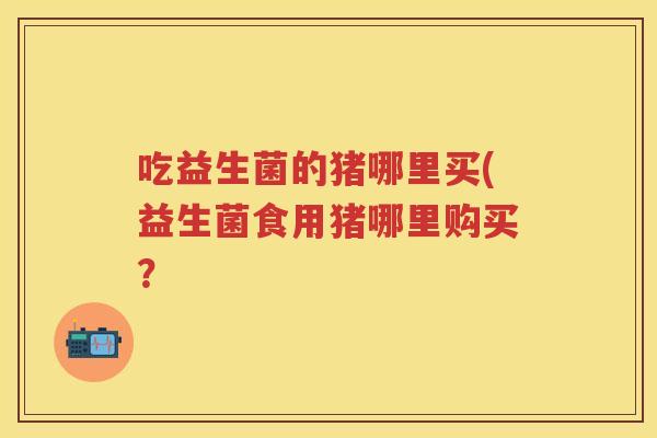 吃益生菌的猪哪里买(益生菌食用猪哪里购买? 吃益生菌的猪哪里买(益生菌食用猪哪里购买?