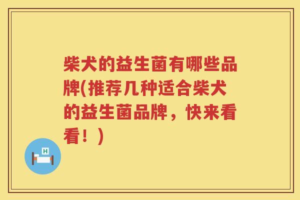 柴犬的益生菌有哪些品牌(推荐几种适合柴犬的益生菌品牌，快来看看！)