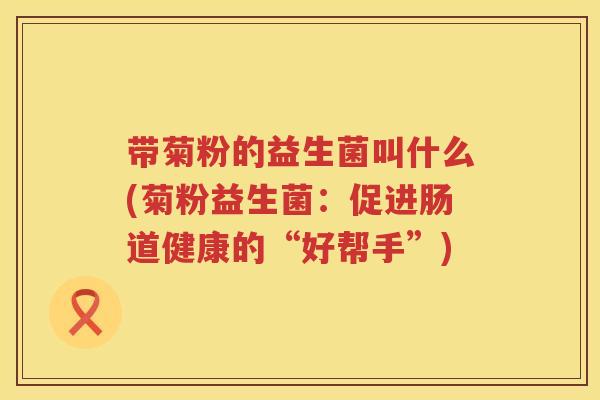 带菊粉的益生菌叫什么(菊粉益生菌：促进肠道健康的“好帮手”)