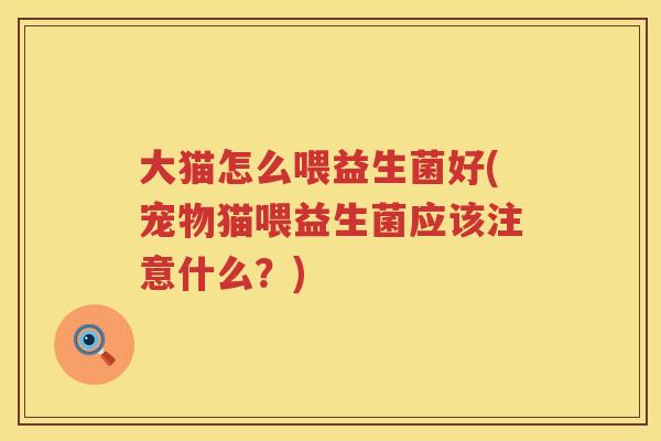 大猫怎么喂益生菌好(宠物猫喂益生菌应该注意什么?) 大猫怎么喂益生菌好(宠物猫喂益生菌应该注意什么?)